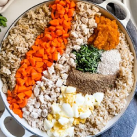 Homemade Pet Food Homemade Pet Food