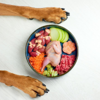 Pet Nutrition Pet Nutrition